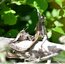 Lézard &#129422; des murailles