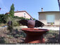 Les oiseaux ont soif : pigeon ramier